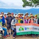 계족산 황톳길 이미지