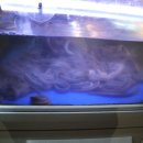 성일택시 이미지