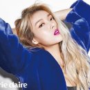 헤어랩컬러