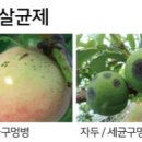 주식회사 성보 이미지