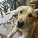 구로-현장-구로-438 이미지