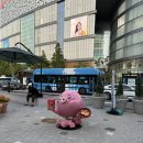 중앙동-08 | 2025 08 일상(남포동 카페 연경재, 서면 그집곱도리탕, 히떼,올리브영 토리든 듀가나디 콜라보 구매 후기)