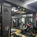 역삼pt 역삼역 1번 출구에서 찾은 카페 같은 피티샵 경험담
