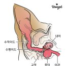 24시노아동물메디컬센터 이미지
