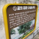 중앙동-01 이미지