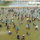 오십천둔치 이미지