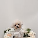 마이리틀멍 이미지