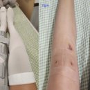 코리아정형외과의원 이미지