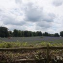 가랑농장 이미지