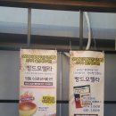 빵드모렐라 이미지