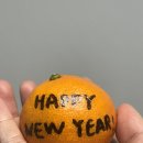 함박곡 | 26년 1월 월간일기