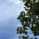 삼원옥수해천탕 이미지