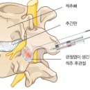 경희다스림한의원 이미지