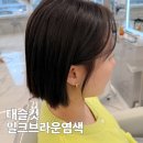 착한헤어컷 | 동탄 염색 잘하는 미용실 헤어다이아 추천 태슬컷 밀크브라운 후기