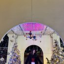 창원광장 앞 중앙대로 | 창원놀거리 크리스마스 데이트 가볼만한곳 광장 상남동 성산구 트리 후기