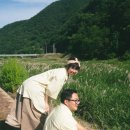 우리 담다