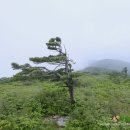 장정리 마을 입구 이미지