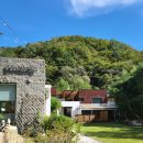 몬티첼로1 | 강원도 평창 애견동반 여행 몬티첼로펜션 2박 후기