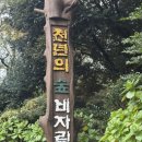 비자림스테이