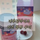 꾸미디자인 | 네추럴라이즈 키즈 철분 꾸미 후기, 아이가 잘 먹는 어린이 철분제