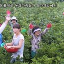 동천농장 이미지