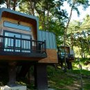 트리하우스 이미지