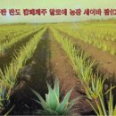 유니베라동남
