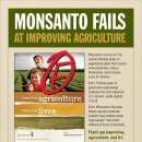몬산토와 GMO의 문제점 이미지