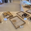 팥티오운정(PATTIO) 이미지