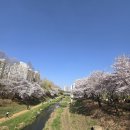 영선고등학교 | [부평영어내신전문 써니영어학원] 주말내신대비 엿보기 (간식무한제공)