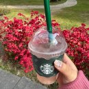 북유성대로 | 유성선병원 이비인후과 편도 코 수술 후기 (2)