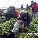 대신주말농장 정보화마을 이미지