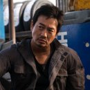 영카센타 이미지