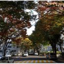 복수동계룡아파트경로당 이미지