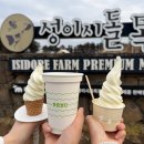 현아목장 | [제주도 서쪽 여행 2] 떠나요 셋이서 모든 걸 훌훌 버리고✈️♪˖*♬˖ ࣪⊹