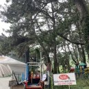 남열해돋이해수욕장 | 아이랑 고흥 남열해돋이해수욕장 평상 몽골 이용가능시간