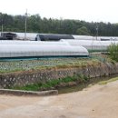 황제아파트 버스정류장 이미지