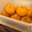 미성덮밥 이미지
