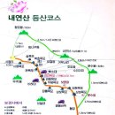 청솔밭주 Daum카페