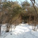 너구리약수터 이미지