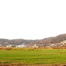 서해막걸리 이미지