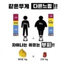 담방로사거리 이미지