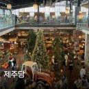 상하주유소 | 제주 애월 베이커리 카페 추천 제주당 꿀팁 제주여행 앱테크 이브이웨이 후기