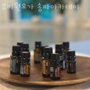 유비원요가송파아카데미