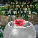 07월03일 수요일 이미지