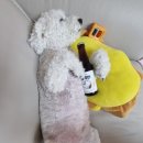 도그야미 이미지