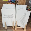 광교 생태환경체험교육관 강의실 | 광교 호수공원 갈 때 꼭 들러보세요! 실외 클라이밍장과 생태체험관 후기