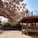 동산1리경로당 이미지