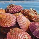 시온수산 이미지