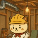 디자인쌤